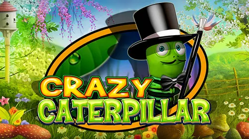 Crazy Caterpillar - Spin City - Congo